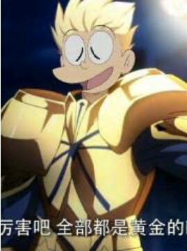 �ҵĳ����������Ź�