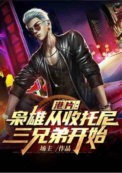 ��Ƭ�������⣬�������ֵ���Ͷ��