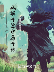 ľҶ���ӽ⿪������ʼ