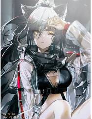 ���յף����������������