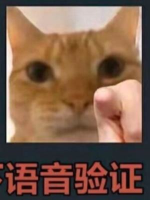 AI�ĳ���ȫ������!