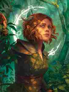 �пᾫ����Ķ�����