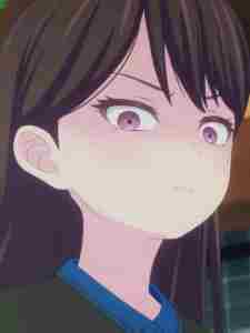 ����������Ŀ���ǲ�ɢ��������