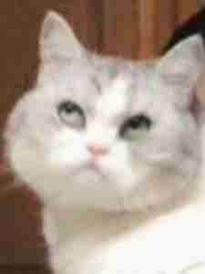 ����������ҿɰ���