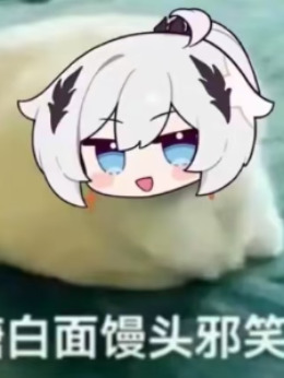 ����������ô����ˢ�£�