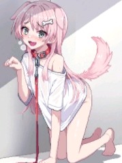 Mygo����Ŀ��������Ŀ�Ĳ�����